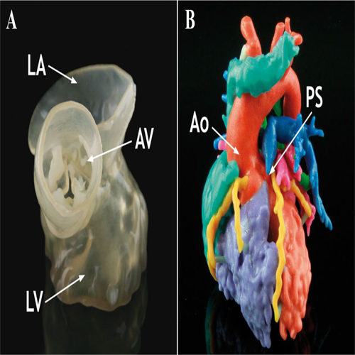 Revolutionary 3D-Printed Organs prompt